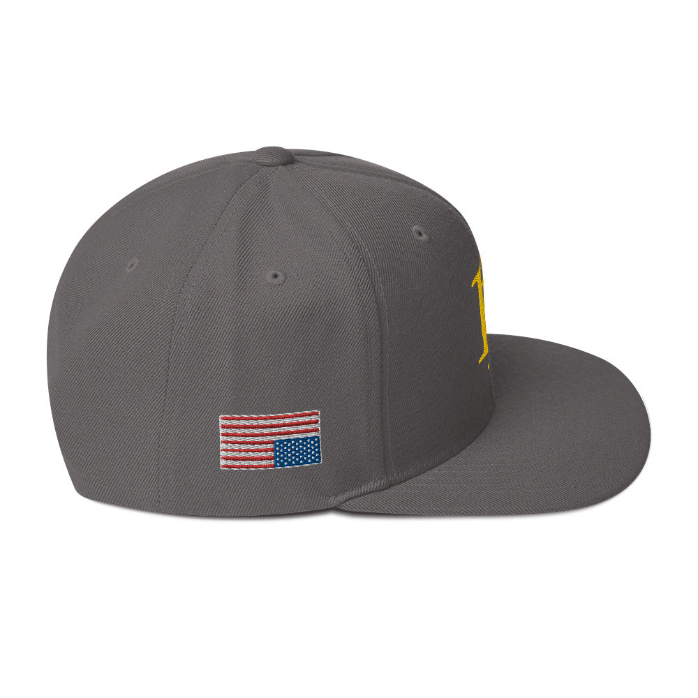 Hats - BP Snapback Alternate Colorway