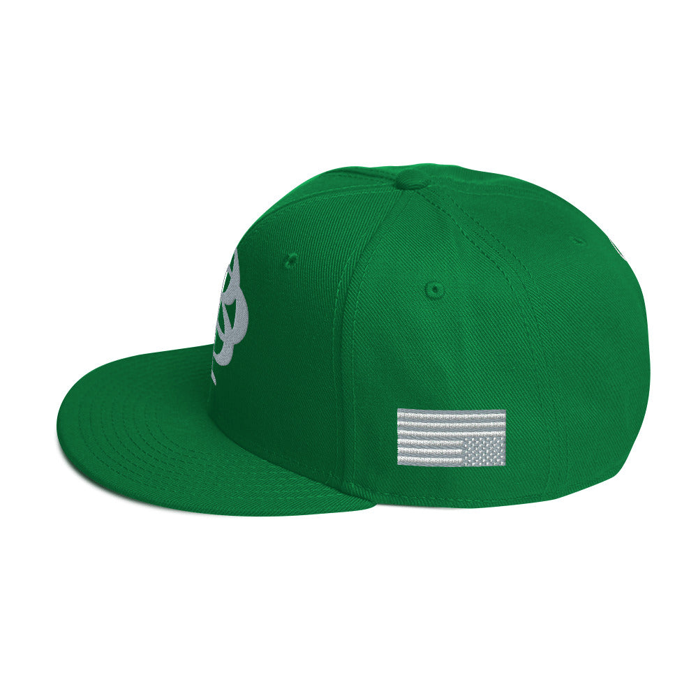 Hats - New LARGE LOGO BP Snapback